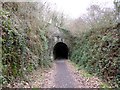 SS4523 : South portal of tunnel near Landcross by David Smith