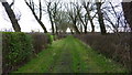 Public Footpath Near Haley Head Farm, Burtonwood