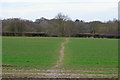 Footpath over arable land to Spickets Wood, Great Totham