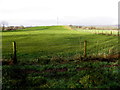 A green field, Drumnakilly