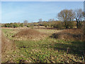 TQ0585 : Rough pasture near Denham by Alan Hunt