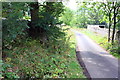 Road into Newbiggin from the north