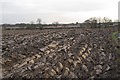 Ploughed field near Applebys Farm, Great Totham