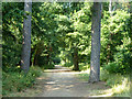 Public bridleway, Black Park