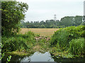 Vegetation gap, Slough Arm, Grand Union Canal