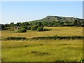 Field, Farden