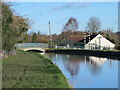 The New River just south of Cranbourne Drive, EN11