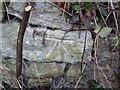 Benchmark at Cathead (Market) Cross, Chiselborough