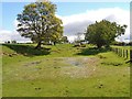 Old Pond at Badland