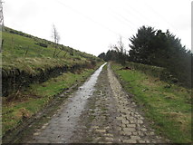 SE0828 : Crooked Lane near Holmfield by John Slater