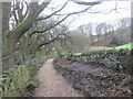 Well surfaced bridleway at Ovenden Wood