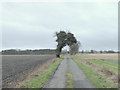 Holly Lane, Rainford Junction