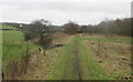 Footpath leading to Burnfoot