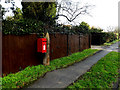 TM4557 : Saxmundham Road Postbox by Geographer
