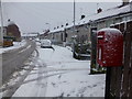 Snow, McClay Park