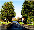 Tree-lined Sudbury Avenue, Hereford