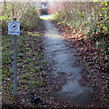 Poop scoop area in suburban Hereford