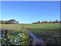 Footpath across farmland in Billinge