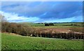 Chapelton Loch and Marsh