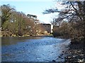 The Ure at Danby Low Mill