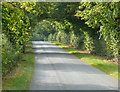 New Road near Illston on the Hill