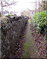 Path from Panteg House to Greenhill Road, Pontypool