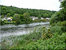 SD3585 : River Leven near Lakeland Motor Museum, Cumbria by Christine Matthews