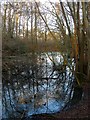 Pond near Gravelye Farm