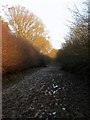 Footpath to Haywards Heath