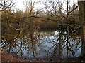 Pond, The Pike Field