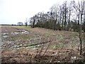 Waterlogged field, north of Hillam Common Lane