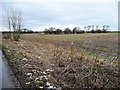 Farmland north of Hillam Common Lane