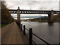 NZ2463 : The River Tyne and its bridges by Anthony Foster