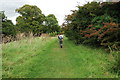 Royal Military Canal Path