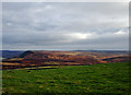 SE4699 : Views over Scarth Wood Moor by Scott Robinson