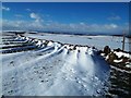 SK2160 : Snowdrifts on Elton Common by Jonathan Clitheroe