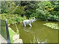 Elephant in a pond