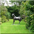 Horse at Stapeley Water Gardens