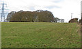 Looking to Hounden Wood, South Hanningfield