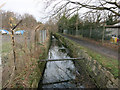 Tolworth Brook, Raeburn Open Space