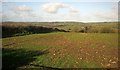 Field near Tredarrup Farm