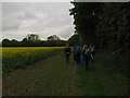 Walkers in Field