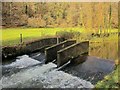 Weir, Warleggan River