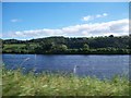 The Newry Canal from the B79 (Newry to Omeath Road)