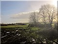 SX1768 : Farmland northeast of Fawton by Derek Harper