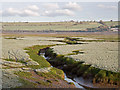 SS5233 : Drainage ditches on tidal marshland beside the River Taw by Roger A Smith