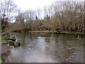 Upstream along the Afon Cynon, Penywaun