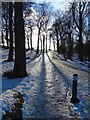 Icy path in Graves Park, Sheffield