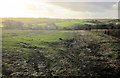 Farmland near Lestitha