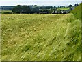 Farmland, Hesket